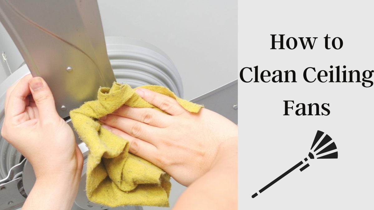 How to Clean Ceiling Fans | The Ultimate Guide For Beginner