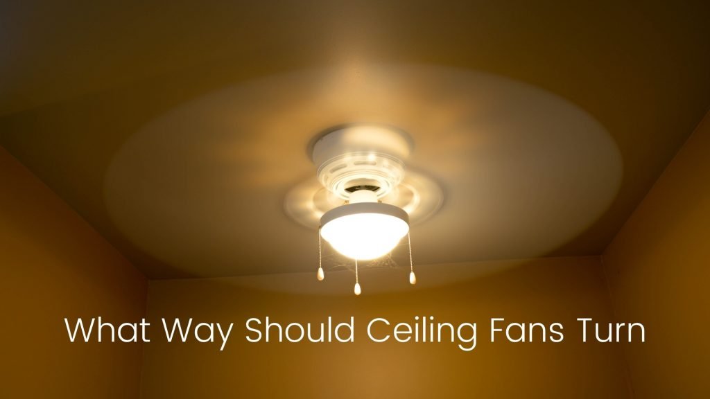 Best Lighting Ceiling Fans