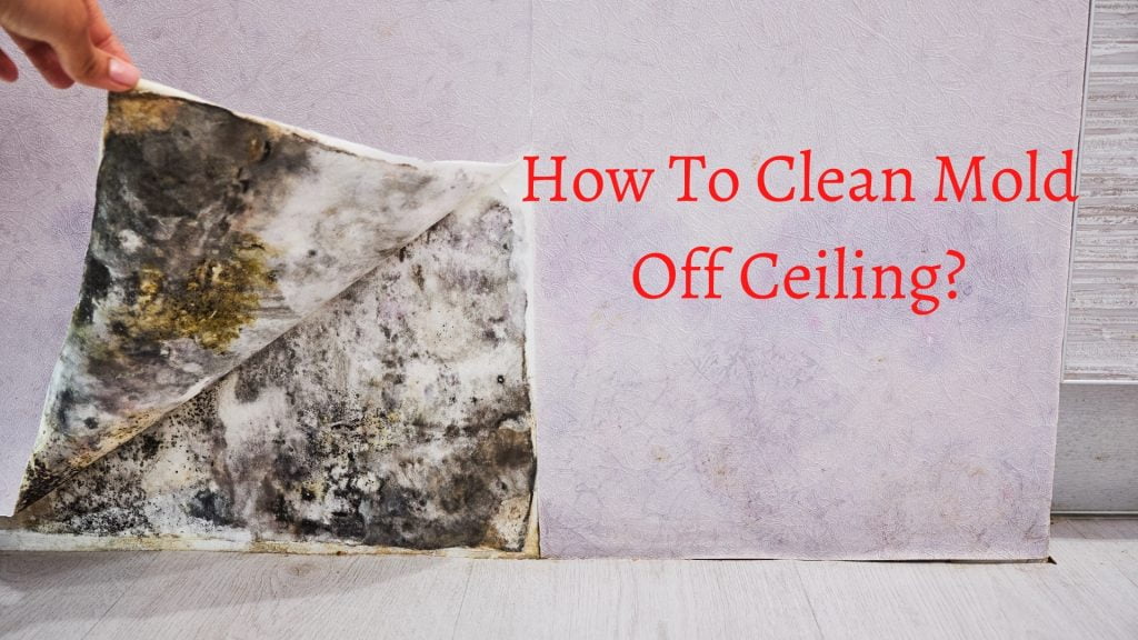 how to clean mold off ceiling