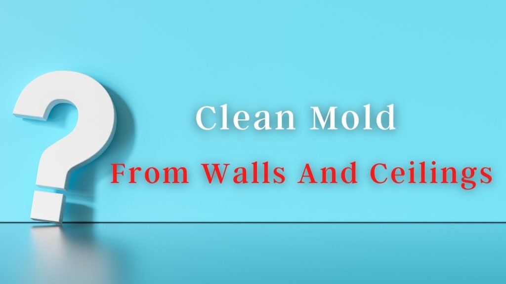 how to clean mold off ceiling