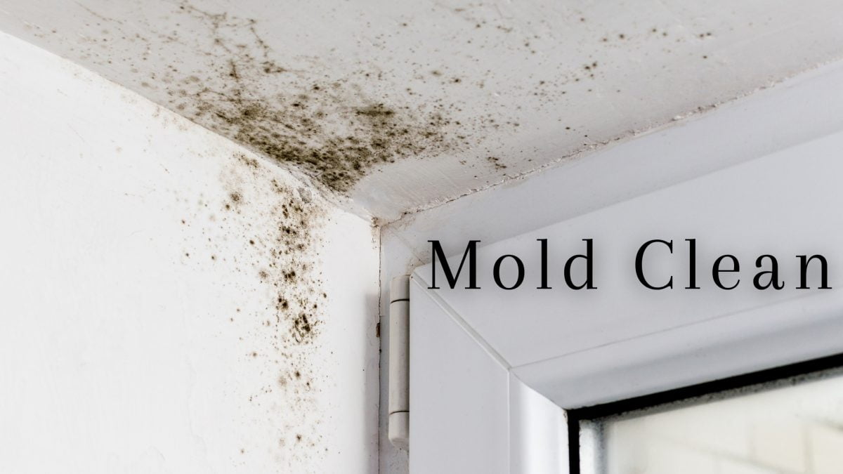 How To Clean Mold Off Ceiling? | Stop The Mold Growth